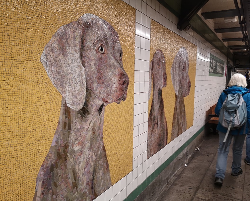 Nicht vor die Hunde gehen im New Yorker Nahverkehr Nicht vor die Hunde gehen im New Yorker Nahverkehr