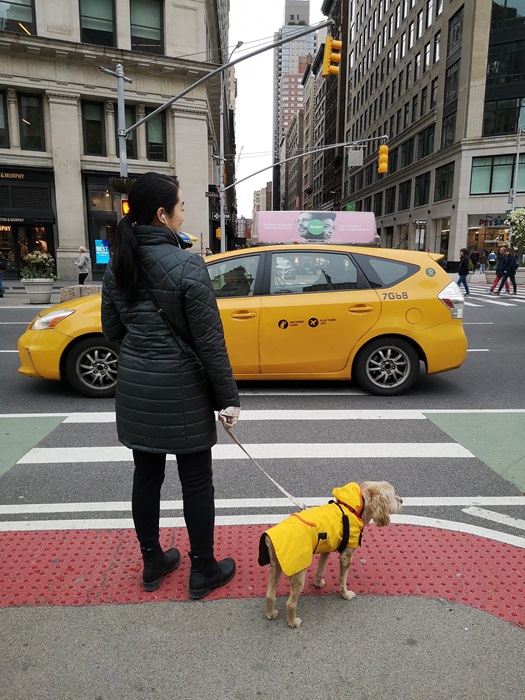 New Yorker Ton in Ton New Yorker Ton in Ton