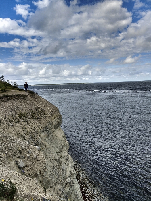 Steilküste auf Saaremaa