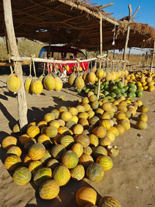 Usbekistan: Melonenmarkt